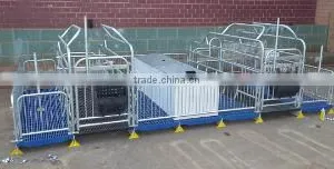 Sow Gestation Pen As Pig Farm Equipment thumbnail-1