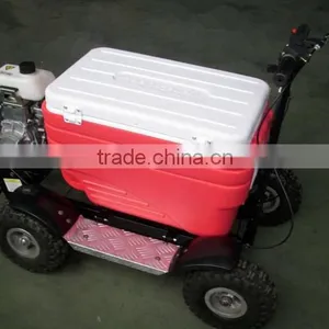 Hot Sale 48L 43cc EPA Gas Cooler Scooter/camping Scooter (TKS-S43) thumbnail-5