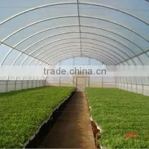 Tunnel Greenhouse Film From China Manufacturer thumbnail-1