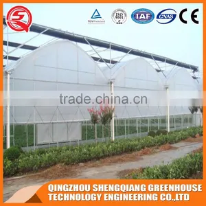 Multi-span Plastic Tomato Greenhouse Hot Galvanized Steel Frame thumbnail-2
