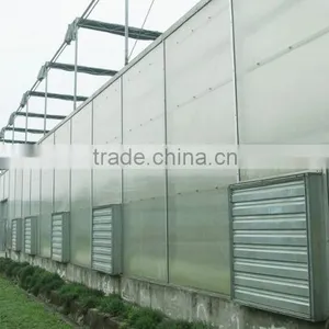 High Tunnel Plastic Agricultural Greenhouses for Sale thumbnail-5
