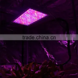 1000W LED Grow Light Panel for Indoor Plants - 9Band Full Spectrum Lamp for Indoor Growing - Consumes Less Heat & Less Energ thumbnail-6