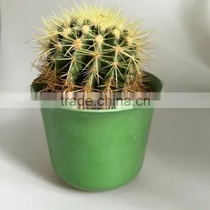 Flowerpot thumbnail-1