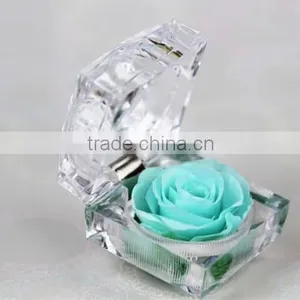 Fashionable And Natural Real Rose Preserved Flowers Wholesale With Acrylic Ring Box Decoration thumbnail-5