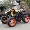 Kawasaki ATV250EEC-1 thumbnail-1