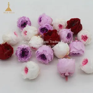 Handmade Preserved Flower Rose, Never Withered Roses, Austin Roses thumbnail-1