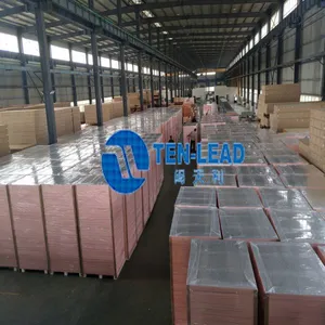 Fujian Tenlead Advanced Material Co., Ltd company overview - view 3 thumbnail