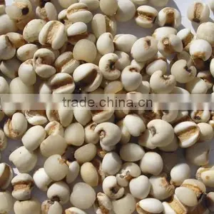 Organic Pearl Barley thumbnail-1