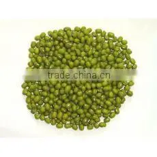 Organic Green Mung Bean thumbnail-2