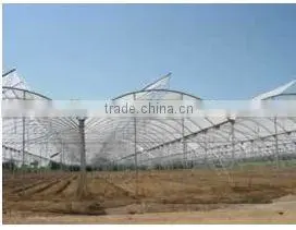 Agriculture Muti-span Greenhouse thumbnail-4