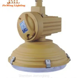 Outdoor Waterproof Explosion-proof Lights 30W 50W Anti-explosion Lamp 80W 60W Safety Lamp 100W 120W 135W thumbnail-3