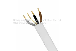 CU/PVC/PVC 6243Y Flat Three And Earth Cable thumbnail-1