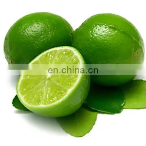 TOP FOOD FAMOUS FOR VIIET NAM GREEN LEMON HIGH QUALITY WITH BEST PRICE thumbnail-2