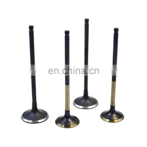 High Performance Auto Oil 16 Quick Car Engine Intake And Exhaust Valves For Nissan For Toyota For Isuzu 4HF1 thumbnail-1