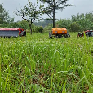 China Rc Controlled Lawn Mower With Best Price For Sale Buy Online thumbnail-5
