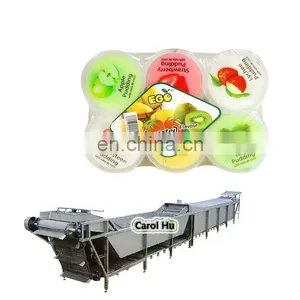 GYC-20 Pudding Jelly Cup Production Line thumbnail-1