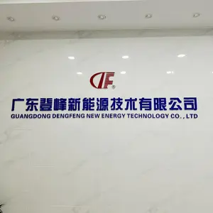 Guangdong Dengfeng New Energy Technology Co., Ltd. company overview - view 1 thumbnail