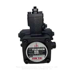 Hydraulic Oil Pumps VP30 Vane Pumps VP-SF-20-D VP-SF-12/15-D VP-SF-30/40-D thumbnail-2