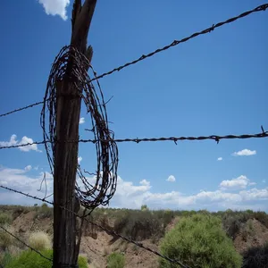 Crafts Fences and Critter Deterrent Barb Galvanized Barbed Wire Rolled Fencing thumbnail-6