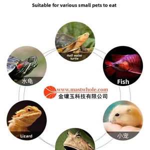 High Protein Dried Mealworms For Chickens thumbnail-5