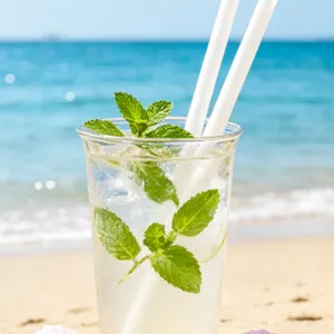 Biodegradable Disposable PLA Eco Plastic Straw Compostable Drinking Straws for Party Supplies thumbnail-1