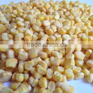 IQF Frozen Sweet Corn Kernel Jinfei Cuiwang Huazhen Variety thumbnail-3
