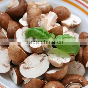 Commercial Red Date Washing Machine|Bubble Type Mushroom Washing Machine thumbnail-6
