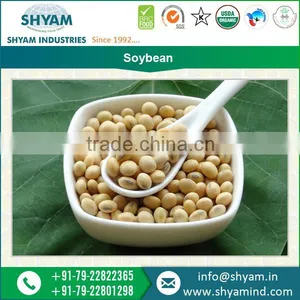 Soybean thumbnail-1