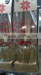 Organic Home Fragrance thumbnail-1