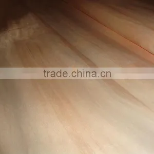 Campnosperma Veneer 0.20mm for Plywood thumbnail-1