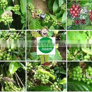 Neem Cake Prices thumbnail-1