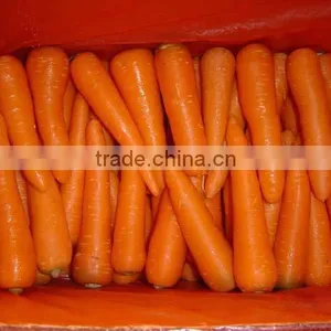 Chinese Fresh Carrot thumbnail-1