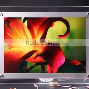 Customized Acrylic ,acrylic Display Hamster Cage,advertising Display Units thumbnail-1