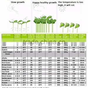 Soya Bean Sprout Machien/mung Bean Machine/sprout Machine thumbnail-2