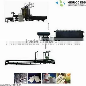EPS Machine (Complete Line, CE Certificate) thumbnail-1