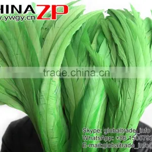 Leading Supplier CHINAZP Bulk Sale Cheap Colored Lime Green Chicken Fully Dyed Roosters Feathers thumbnail-2