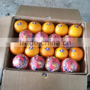 Fresh Navel Orange thumbnail-1