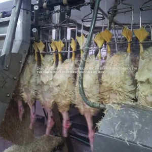 Duck Abattoir Machine thumbnail-2
