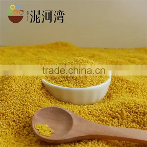 Millet Yellow Millet 2016 Crop High Quality Market Price thumbnail-4