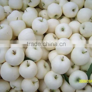 9KG Fresh Golden Pear 40-44 Size thumbnail-4