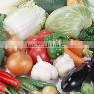 Fresh Vegetable thumbnail-1