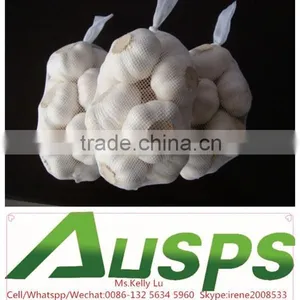 China Fresh Pure White Garlic Price thumbnail-6