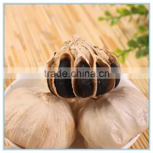 Chinese Fermented Black Garlic to Machine thumbnail-3