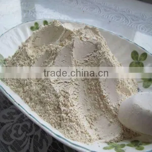 Air Dried Garlic Powder Exporter thumbnail-1