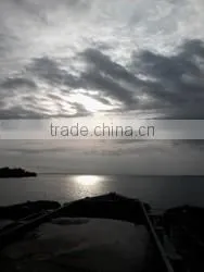 Sand in Reasonable Price thumbnail-3