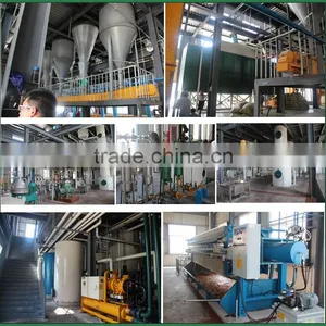 Automatic Palm Oil Extraction Machine | Palm Kernel Oil Extraction Machine From Palm Fruit to Refined Palm Oil thumbnail-5