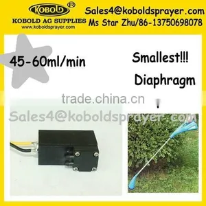 Battery Weed Extractor Spray Pump,6V Diaphragm Pump thumbnail-1