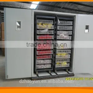 Full Automatic Eggs Incubator Hatching Chicken Eggs (9856 Eggs) thumbnail-1