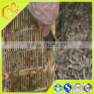 Beekeeping Supplies Raw Propolis From China thumbnail-3
