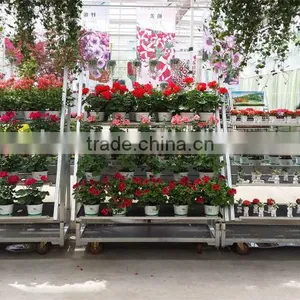 Flower Display Shelf / Flower Trolley/ Flower Transport Cart thumbnail-3